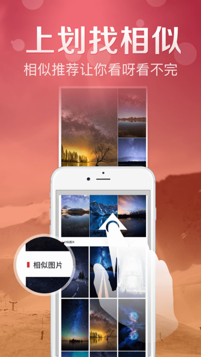 鮮柚主題
