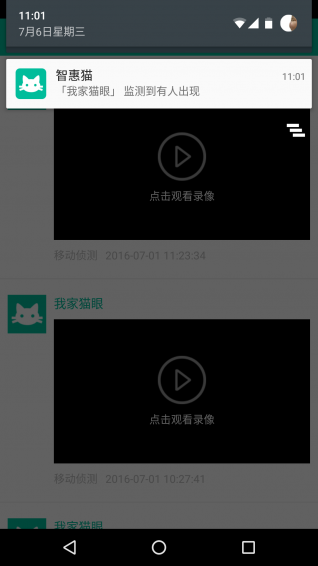 智惠貓
