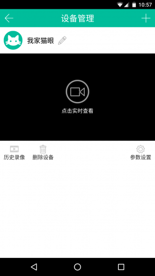 智惠貓