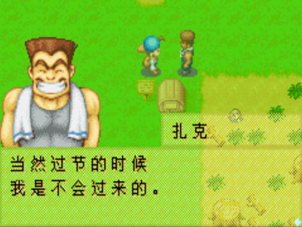 牧場物語：礦石鎮的伙伴們