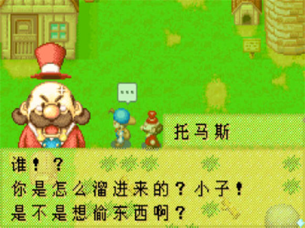 牧場物語：礦石鎮的伙伴們