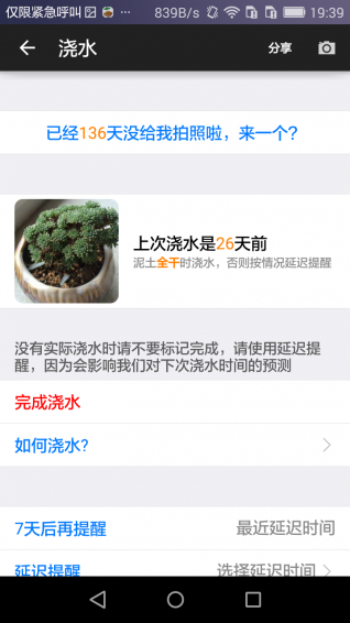 愛花草