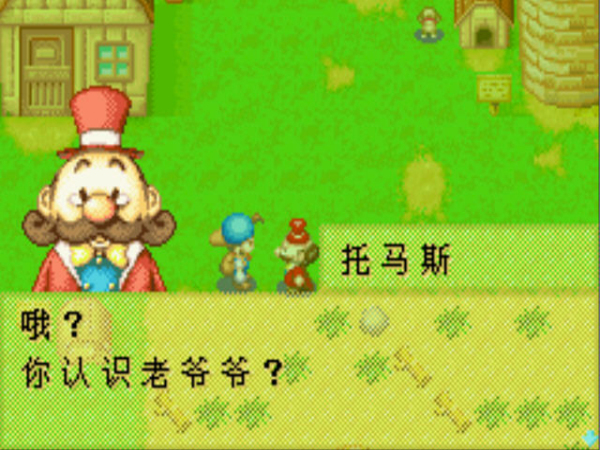 牧場物語：礦石鎮的伙伴們
