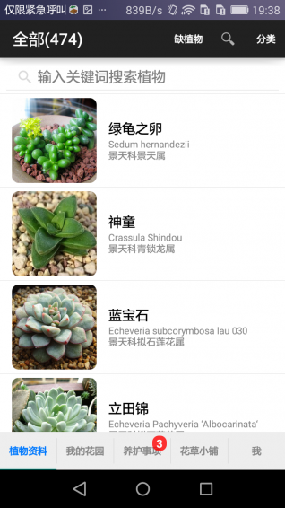 愛花草