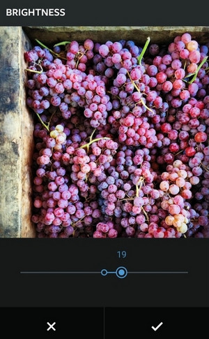 Instagram APP