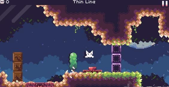 Cat Bird