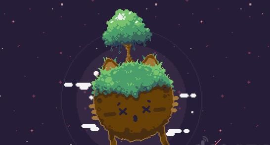 Cat Bird