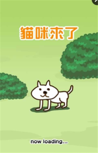 貓咪來(lái)了