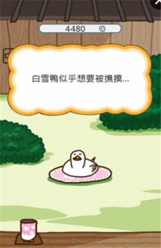貓咪來(lái)了