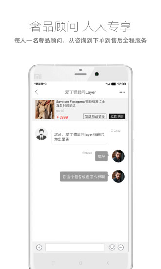 愛丁貓