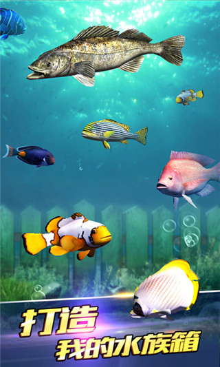 世界釣魚之旅