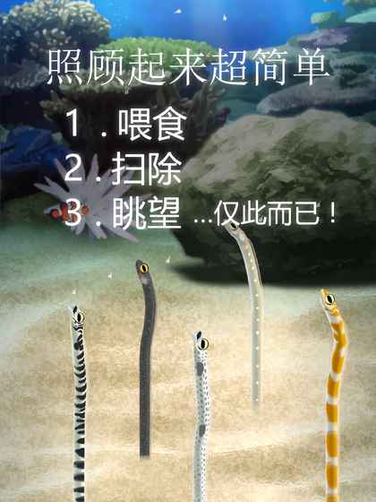 治愈的斑鱔花園