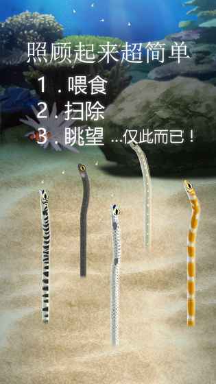 治愈的斑鱔花園