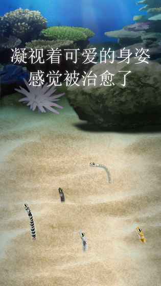 治愈的斑鱔花園