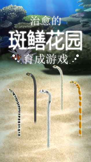 治愈的斑鱔花園