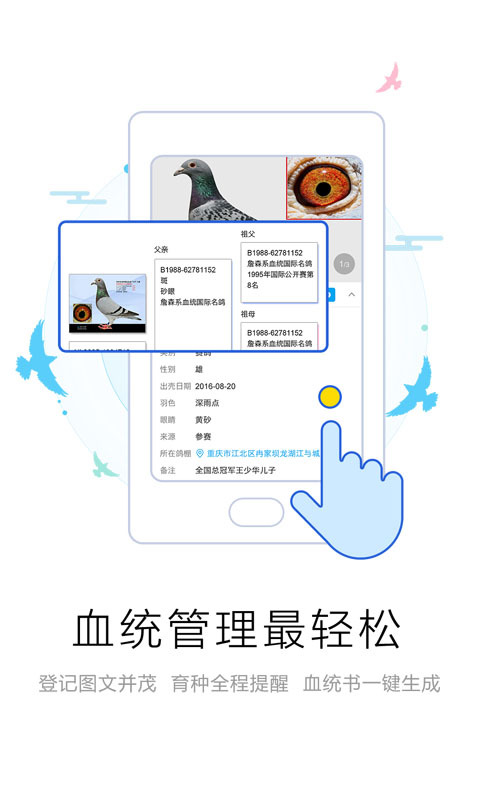 愛鴿者