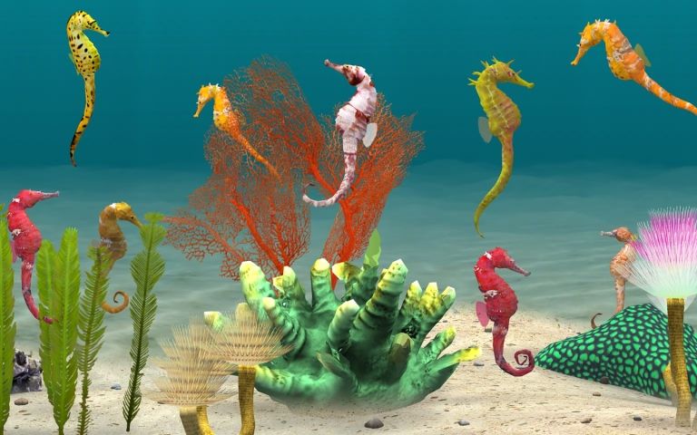 養(yǎng)魚場3