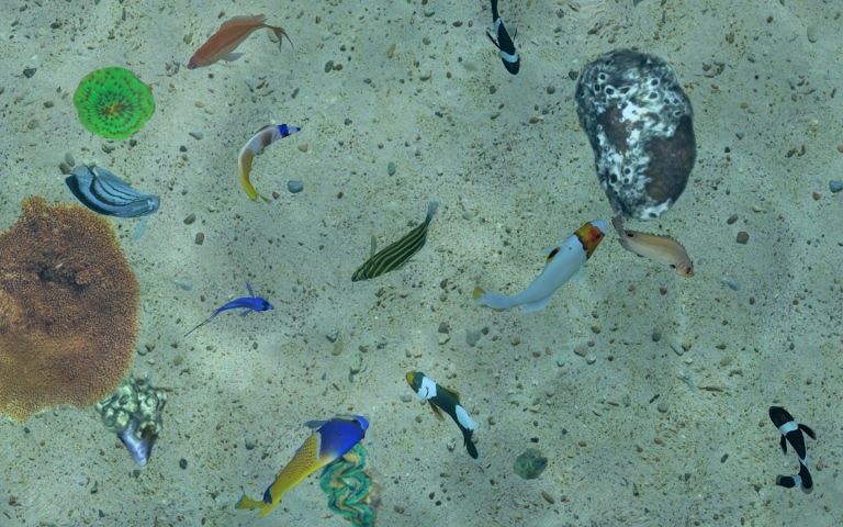養(yǎng)魚場3