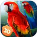 野生鸚鵡模擬3D
