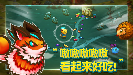 貓的追求
