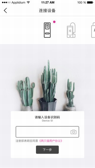 兩只貓語(yǔ)音社交