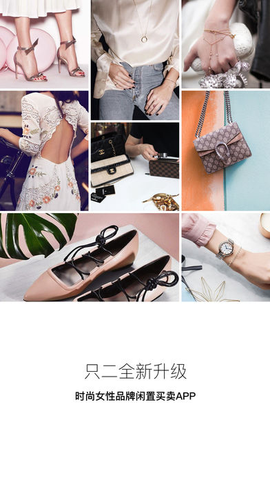 只二 軟件