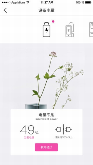 兩只貓語(yǔ)音社交