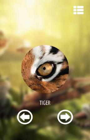 視覺動物模擬器