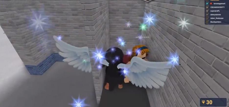 Roblox災(zāi)難模擬器