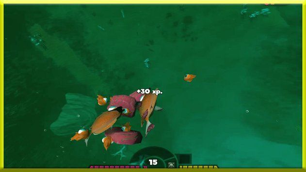 喂魚和成長