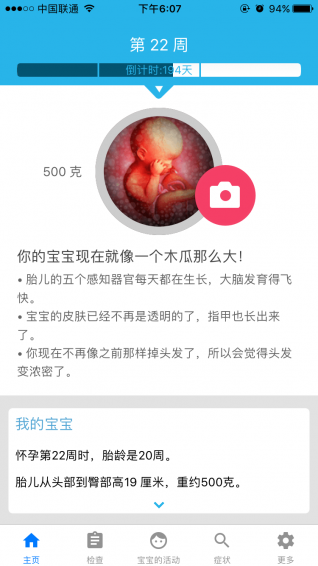 口袋孕育