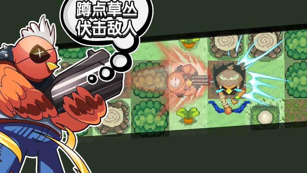 菜雞互啄