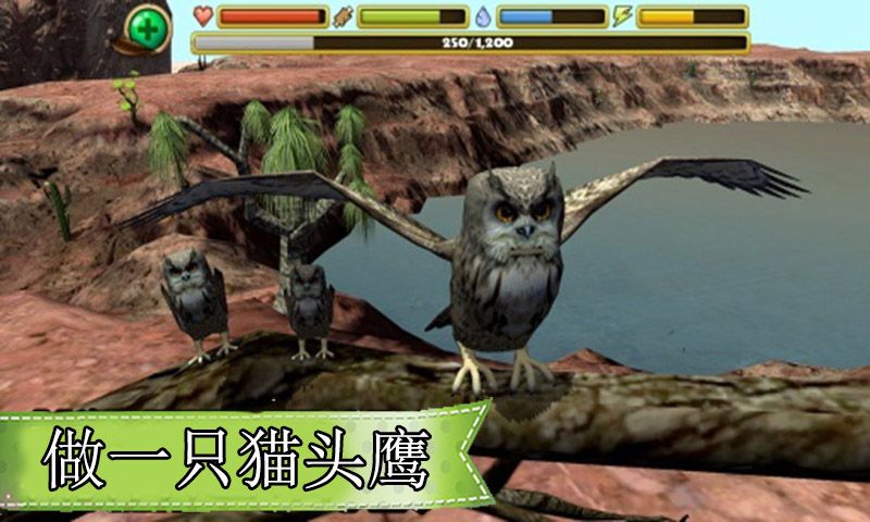 模擬農場貓頭鷹