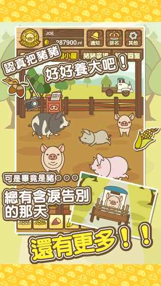 養(yǎng)豬場(chǎng)MIX 游戲