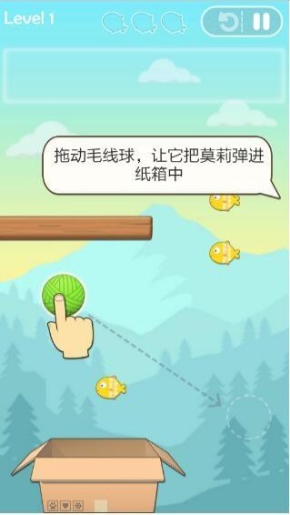 翻滾吧貓咪