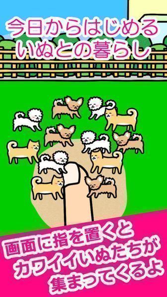 與小狗玩耍