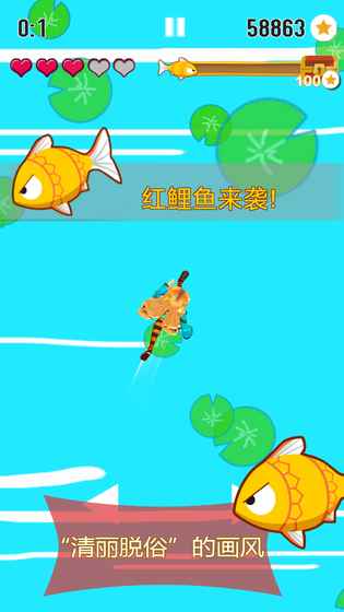 紅鯉魚與金鯉魚