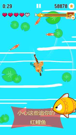 紅鯉魚與金鯉魚