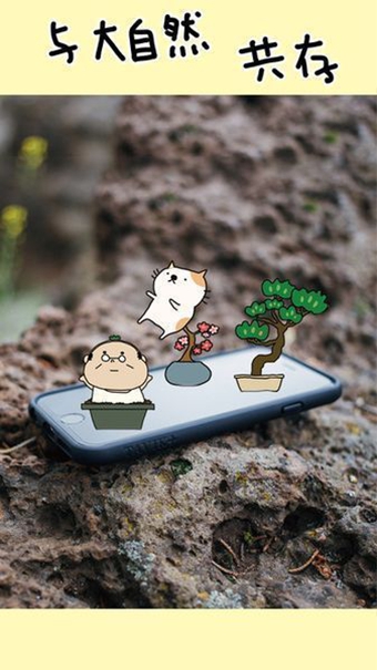 盆栽大師