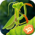 野生螳螂模擬器