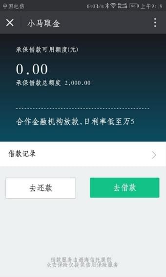小马取金