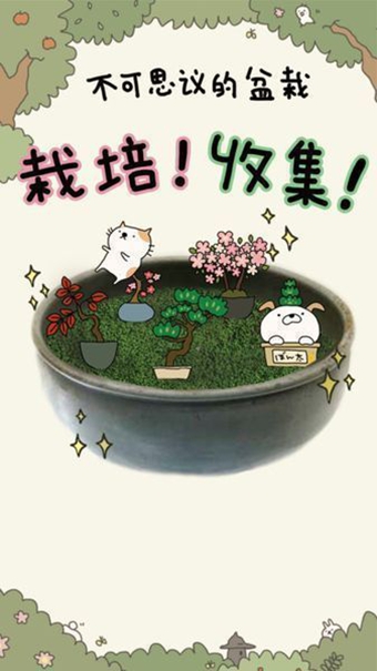 盆栽大師