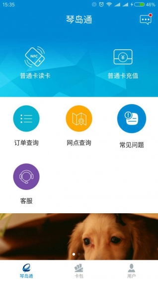 琴島通
