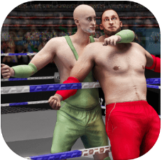 真正的標(biāo)簽隊(duì)摔跤革命2018戰(zhàn)士