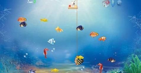 貓咪釣魚