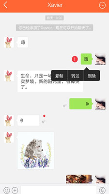 無界投融