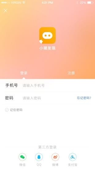 小豬發現