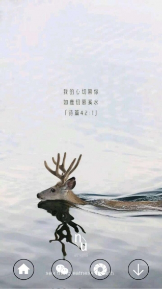 一粒麥子
