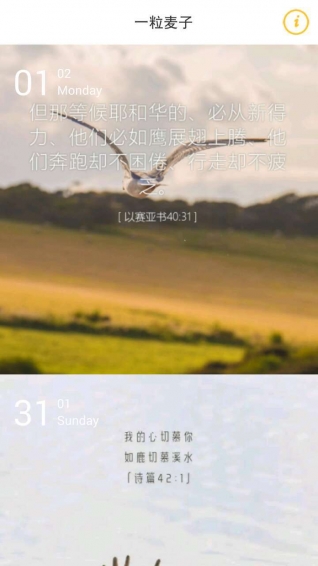 一粒麥子