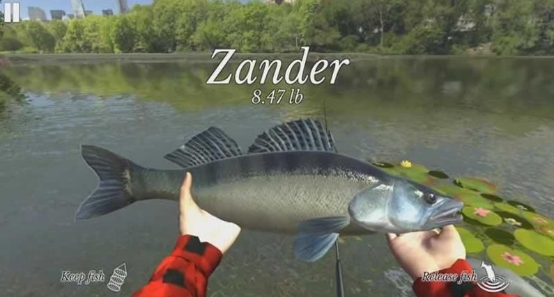無限釣魚模擬3D